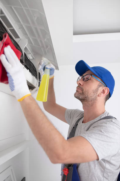 Best Air Vent Cleaning Services  in Meadow Woods, FL